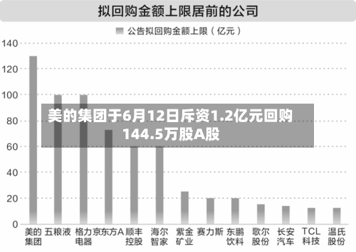美的集团于6月12日斥资1.2亿元回购144.5万股A股-第1张图片