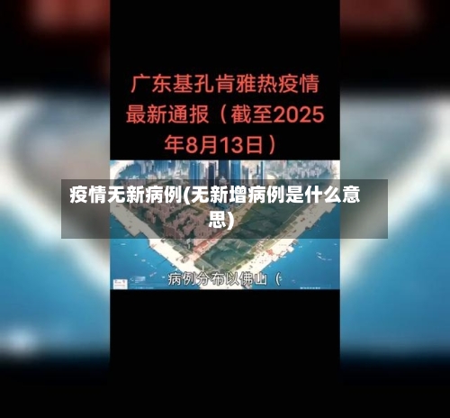 疫情无新病例(无新增病例是什么意思)-第2张图片