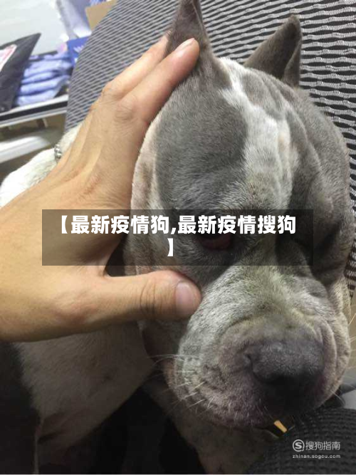 【最新疫情狗,最新疫情搜狗】