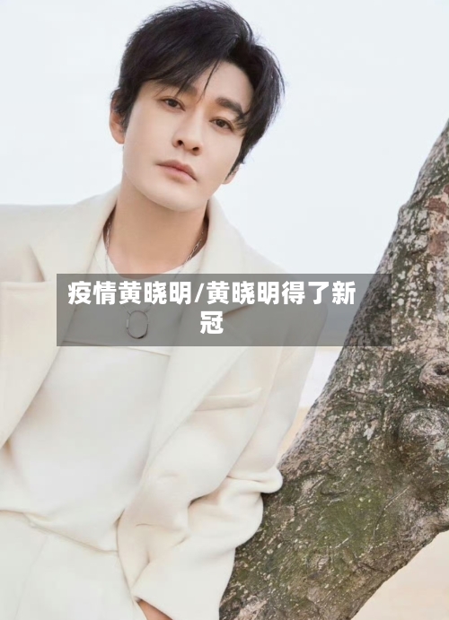 疫情黄晓明/黄晓明得了新冠-第2张图片