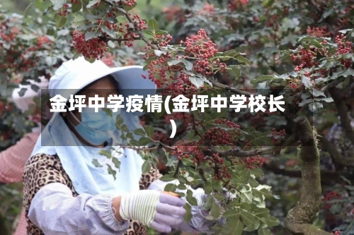 金坪中学疫情(金坪中学校长)