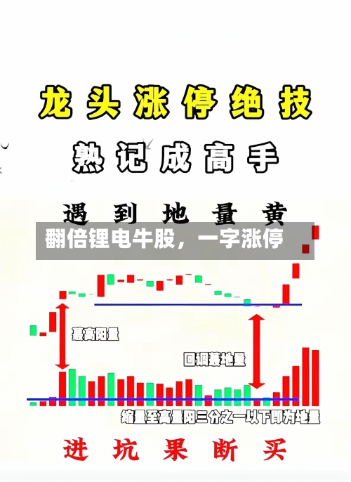 翻倍锂电牛股，一字涨停-第3张图片