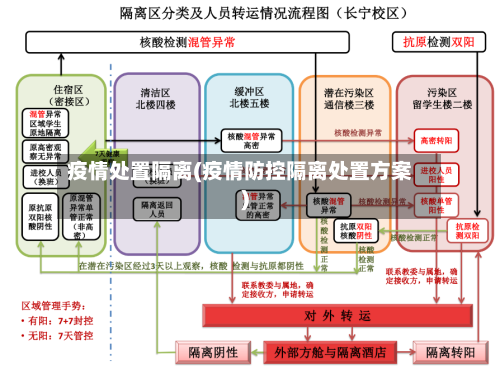 疫情处置隔离(疫情防控隔离处置方案)