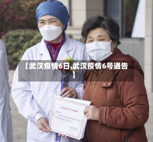 【武汉疫情6日,武汉疫情6号通告】-第2张图片