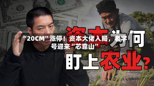 “20CM”涨停！资本大佬入局，老字号迎来“芯靠山	”-第3张图片