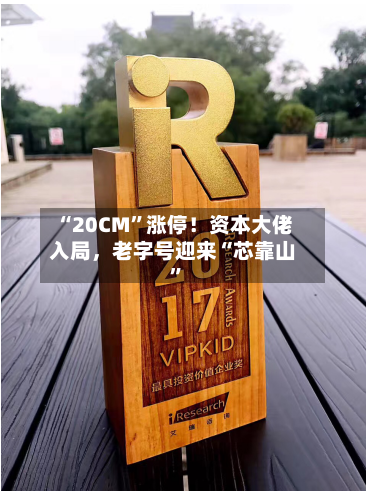 “20CM	”涨停！资本大佬入局，老字号迎来“芯靠山”-第2张图片