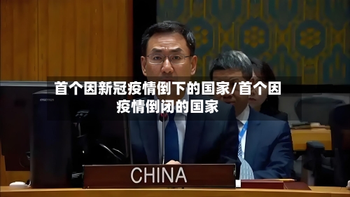 首个因新冠疫情倒下的国家/首个因疫情倒闭的国家-第3张图片