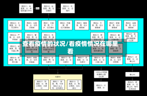 查看疫情的状况/看疫情情况在哪里看-第2张图片