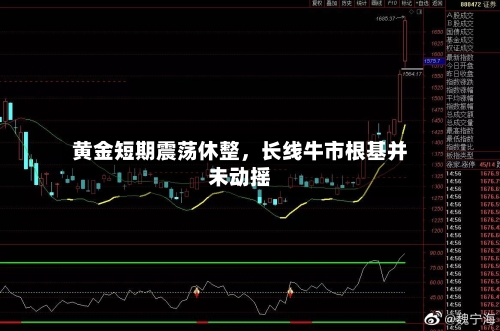 黄金短期震荡休整，长线牛市根基并未动摇-第3张图片