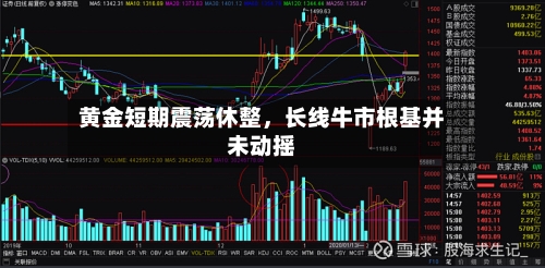 黄金短期震荡休整	，长线牛市根基并未动摇-第1张图片