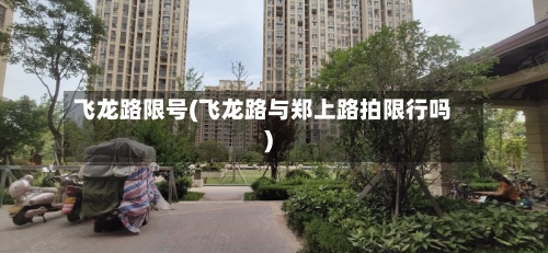 飞龙路限号(飞龙路与郑上路拍限行吗)-第3张图片