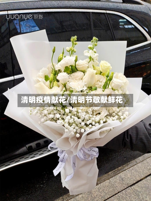 清明疫情献花/清明节敬献鲜花-第2张图片