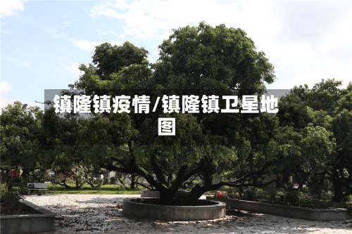 镇隆镇疫情/镇隆镇卫星地图-第3张图片